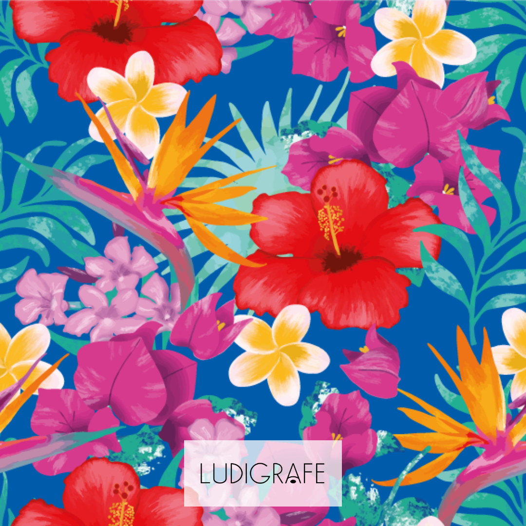 Ludigrafe insta comm-4 copie