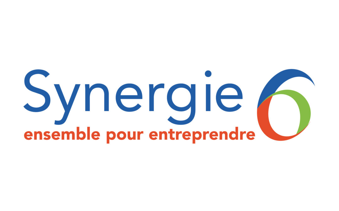 Synergie 6