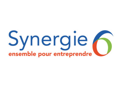Synergie 6