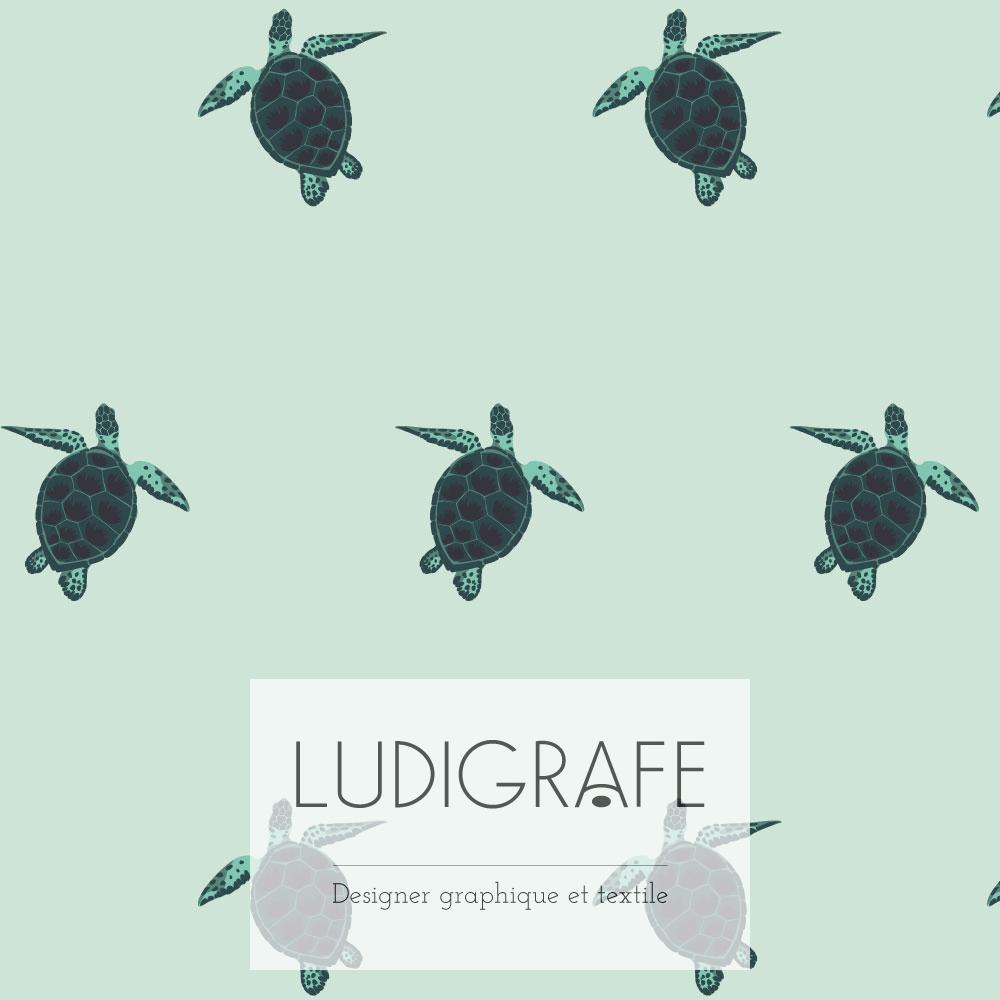 galapago